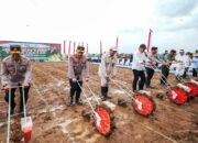 Gerakan 1 Juta Hektare Jagung: Sinergi Polri dan Kementrian Pertanian Wujudkan Swasembada Pangan 2025