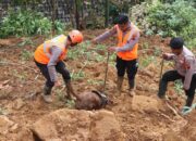 Brimob Bergerak Bantu Evakuasi Korban Banjir dan Longsor di Jateng