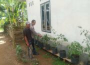 Polri dan Warga Bangun Ketahanan Pangan Lewat Pekarangan Rumah di Sekotong