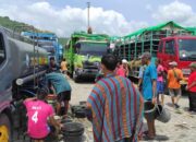 Polisi dan Instansi Terkait Tangani Krisis Air Minum Ternak di Pelabuhan