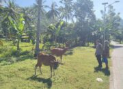 Dukung Ketahanan Pangan, Bhabinkamtibmas Ajak Warga Manfaatkan Pekarangan