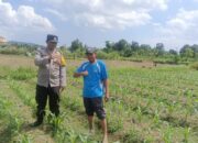 Sinergi Polri dan Petani: Polsek Gerung Galakkan Pemanfaatan Lahan Pekarangan untuk Pangan Bergizi