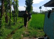 Optimalisasi Lahan Pertanian Lewat Pendampingan Polisi di Desa Beleka