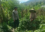 Polsek Gerung Edukasi Warga Optimalkan Pekarangan dan Ternak