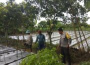 Kolaborasi Petani dan Bhabinkamtibmas di Kediri Wujudkan Pertanian Aman