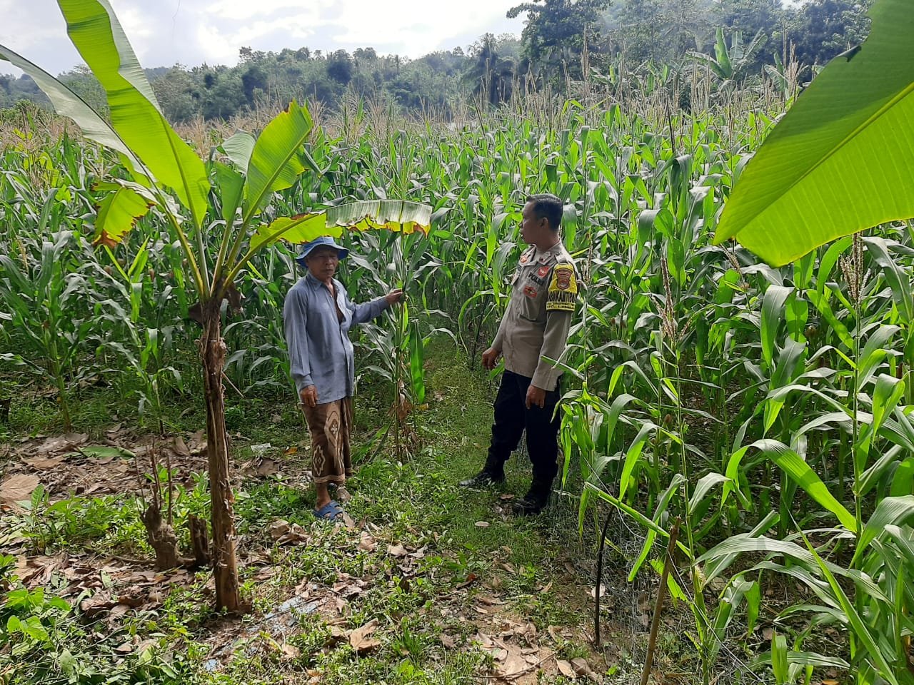 Bhabinkamtibmas Sekotong Timur Dampingi Petani Dukung Ketahanan Pangan