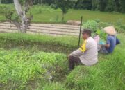 Dari Silaturahmi ke Swasembada: Polri dan Warga Montong Are Bersinergi