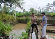Lahan Kosong Jadi Kebun Sayur: Inovasi Ketahanan Pangan Kuripan