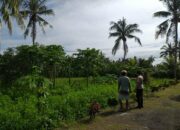 Desa Jagaraga Fokus Pangan Mandiri, Polri Ajak Warga Bertani