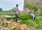 Kolaborasi Polri dan Petani Wujudkan Ketahanan Pangan Lombok Barat