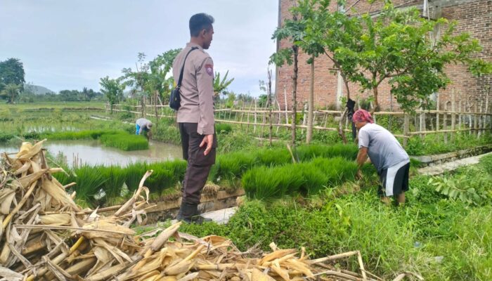 Kolaborasi Polri dan Petani Wujudkan Ketahanan Pangan Lombok Barat