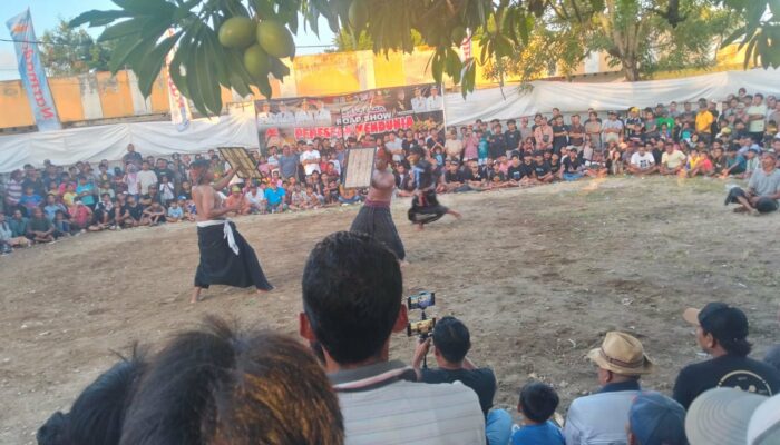 Warisan Sasak di Panggung Dunia, Festival Peresean Ramaikan Lombok Barat