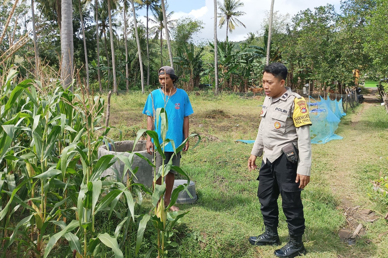 Perkuat Ketahanan Pangan, Polisi Bina Petani Jagung di Sekotong