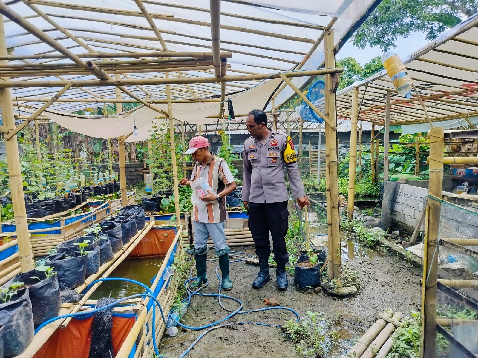Bhabinkamtibmas Desa Bajur Dorong Kemandirian Pangan Warga Tempit