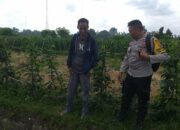 Program Ketahanan Pangan Polsek Kuripan Disambut Antusias Warga Jagaraga