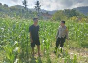 Polri Bina Petani di Lombok Barat, Kawal Ketahanan Pangan dari Akar Rumput