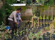 Blue Light Patrol, Upaya Polres Lobar Tangkal Begal & Balap Liar