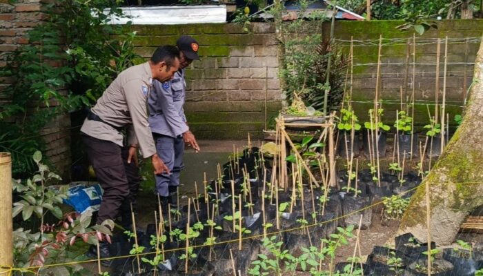 Blue Light Patrol, Upaya Polres Lobar Tangkal Begal & Balap Liar