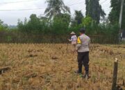 Ketahanan Pangan Dimulai dari Rumah: Polsek Kuripan Tunjukkan Aksi Nyata