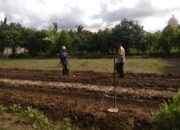 Dusun Plowok Selatan Jadi Contoh Kolaborasi Ketahanan Pangan