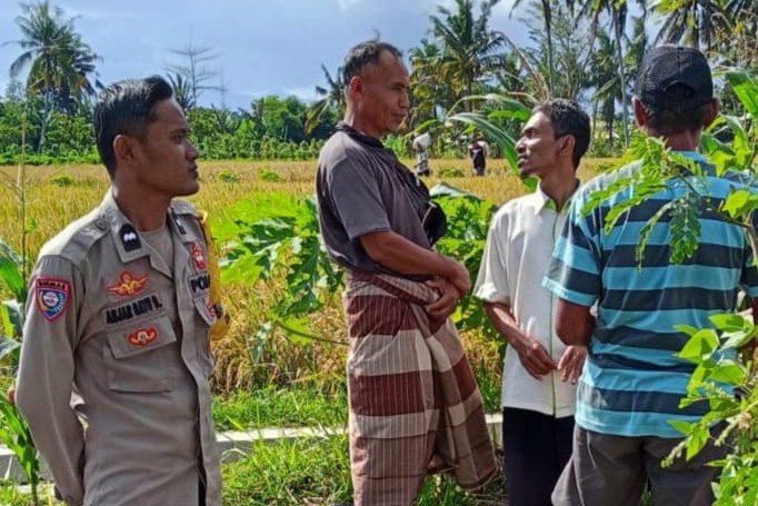 Peran Polisi di Tengah Sawah: Ketahanan Pangan Dimulai dari Dusun Rumak Barat