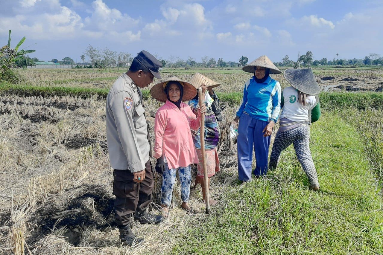 Ketahanan Pangan Dimulai dari Desa: Langkah Humanis Bhabinkamtibmas Montong Are