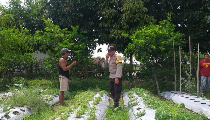Dukung Program Nasional, Polsek Kuripan Galakkan Ketahanan Pangan di Jagaraga
