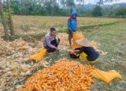 Bhabinkamtibmas Eyat Mayang Dorong Semangat Petani untuk Panen Optimal