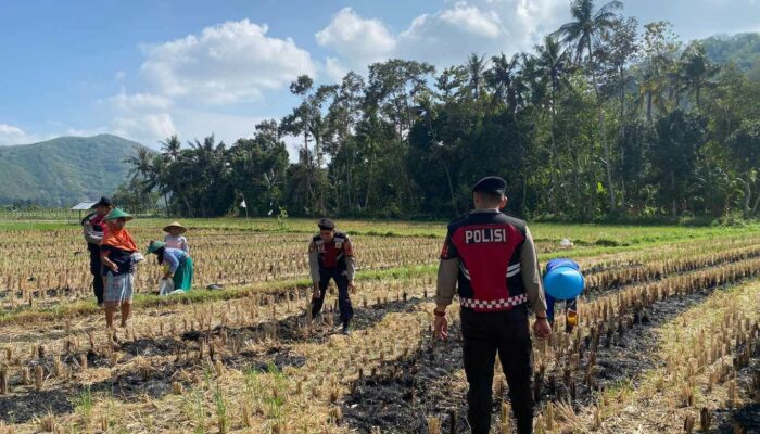 Polri dan Petani Kebon Ayu Bersinergi Wujudkan Swasembada Pangan