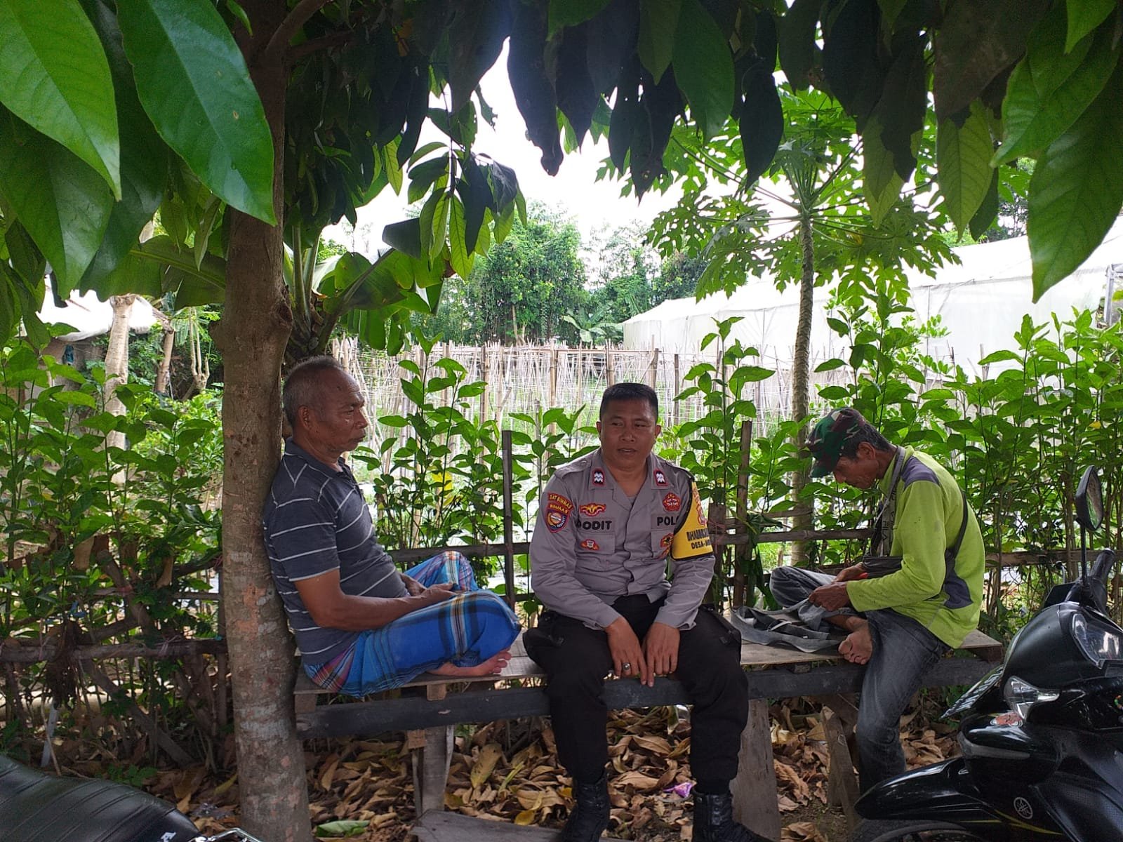 Inisiatif Ketahanan Pangan, Polisi Ajak Petani Desa Jagaraga Optimalkan Lahan Pekarangan