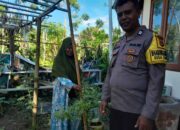 Polsek Batulayar Dorong Program Ketahanan Pangan lewat Edukasi di Senggigi