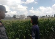 Polri dan Petani Labuapi Bersinergi Wujudkan Desa Mandiri Pangan