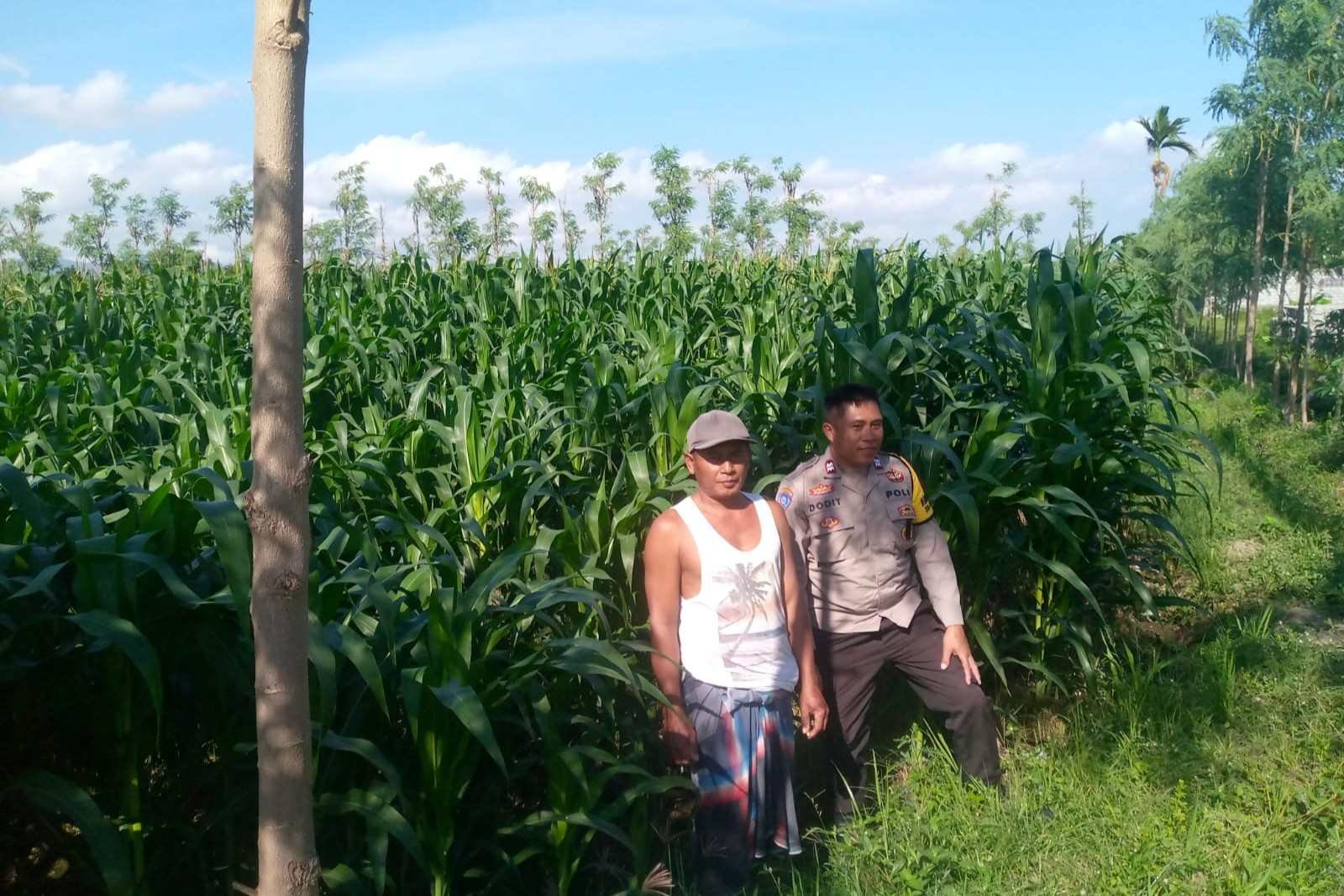 Kolaborasi Polsek Kuripan dan Petani Jagaraga Perkuat Stabilitas Pangan Desa