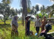 Kolaborasi Polri dan Penyuluh Pertanian di Gelogor, Kediri Dorong Kesejahteraan Petani Jagung