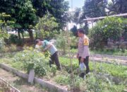 Dukungan Polri Bagi Petani Dusun Tegal: Langkah Nyata Kemandirian Pangan Jagaraga