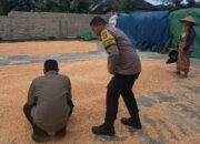 Polsek Sekotong Kawal Survei Jagung, Temukan Masalah Distribusi di Desa Kedaro