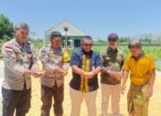 Jagung Desa Beleka dengan Kadar Air 10,3 KA Siap Serap Bulog NTB