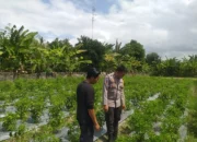 Dorong Kemandirian Pangan Keluarga, Bhabinkamtibmas Dampingi Warga Olah Lahan