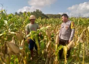 Kapolsek Kuripan: Ketahanan Pangan Harus Dimulai dari Desa