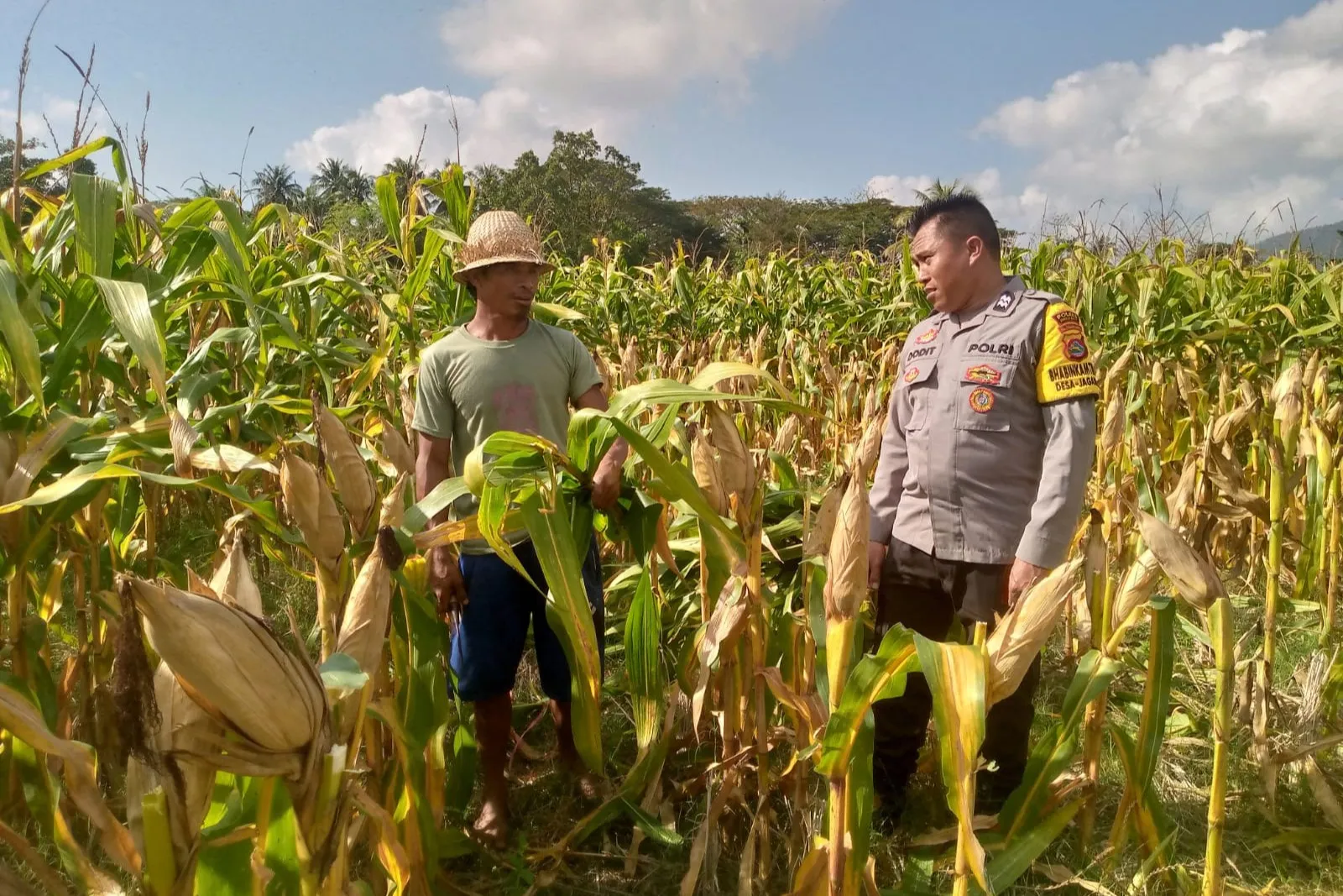 Kapolsek Kuripan: Ketahanan Pangan Harus Dimulai dari Desa