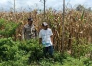 Langkah Praksis Polsek Gerung: Edukasi Pemanfaatan Lahan Kosong