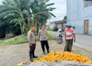 Polsek Labuapi Bantu Petani Amankan Harga Panen Jagung ke Bulog
