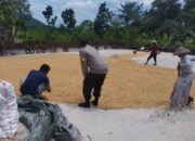 Polri Dampingi Bulog Cek Mutu 3 Ton Jagung Petani di Gerung Lombok Barat